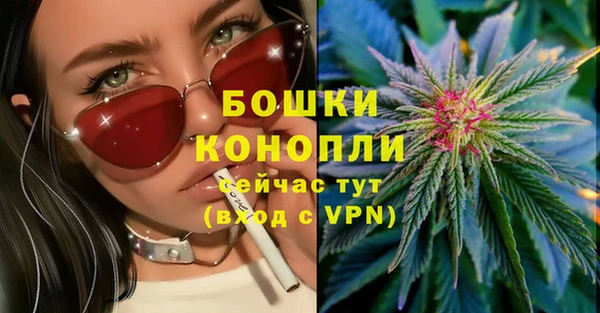 ПСИЛОЦИБИНОВЫЕ ГРИБЫ Белокуриха