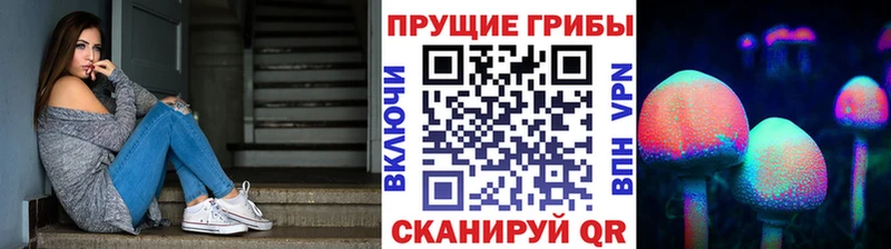 Галлюциногенные грибы Psilocybe  OMG ONION  Верхнеуральск 